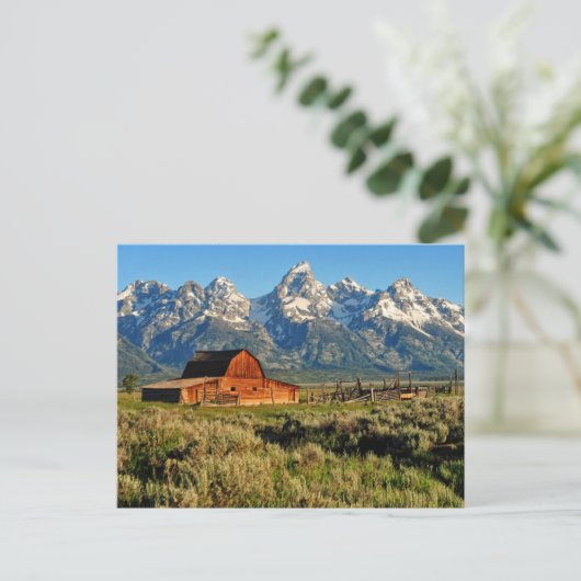 Farms | Barn Shadowed by Snow Capped Mountains Postkarte (Stehend Vorderseite)