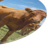 Farms | Brown Cow Group Schneidebrett (Ecke)