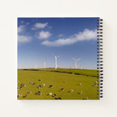 Farms | Cows Near Windmill Farm Notizblock (Rückseite)
