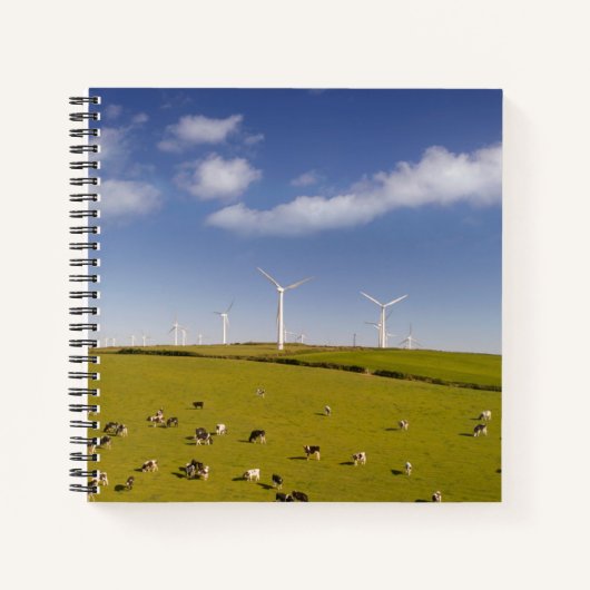 Farms | Cows Near Windmill Farm Notizblock (Vorderseite)