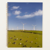 Farms Cows Near Windmill Farm Planer (Vorderseite)