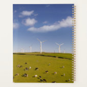 Farms Cows Near Windmill Farm Planer (Rückseite)