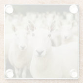 Farms Herd of Sheep Glasuntersetzer (Rückseite)