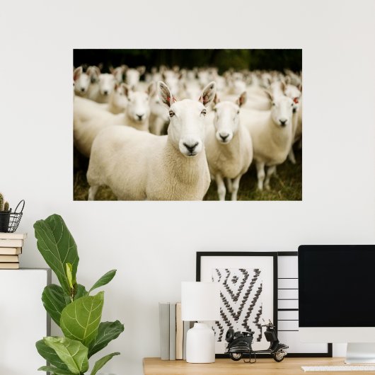Farms | Herd of Sheep Poster (Heimbüro)