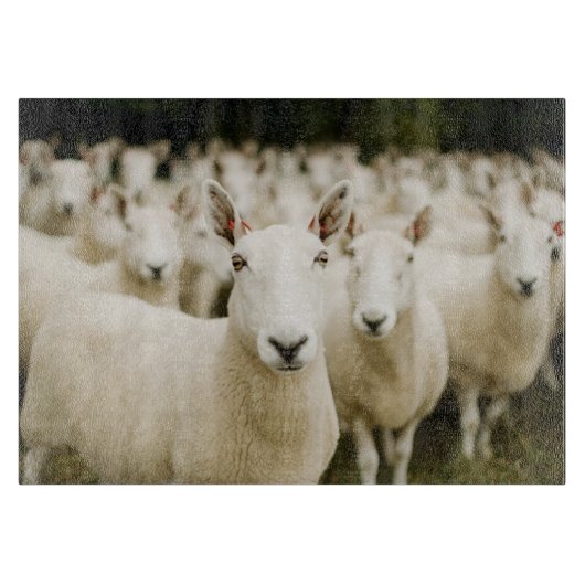 Farms | Herd of Sheep Schneidebrett (Vorderseite)