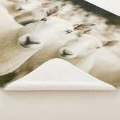 Farms Herd of Sheep Sherpadecke (3/4)