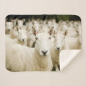 Farms Herd of Sheep Sherpadecke (Vorderseite (Horizontal))