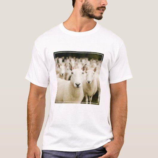 Farms Herd of Sheep T-Shirt (Vorderseite)