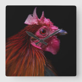 Farms | Rooster Head Shot Quadratische Wanduhr (Vorderseite)