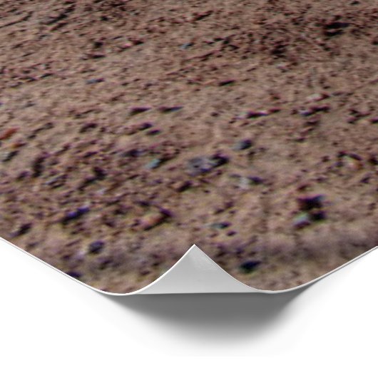 Farms Rusty Antique Tractor Poster (Ecke)