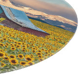 Farms Sunflower Field Schneidebrett (Ecke)