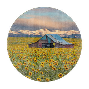 Farms Sunflower Field Schneidebrett