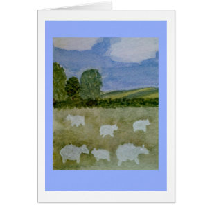 Farmschaf