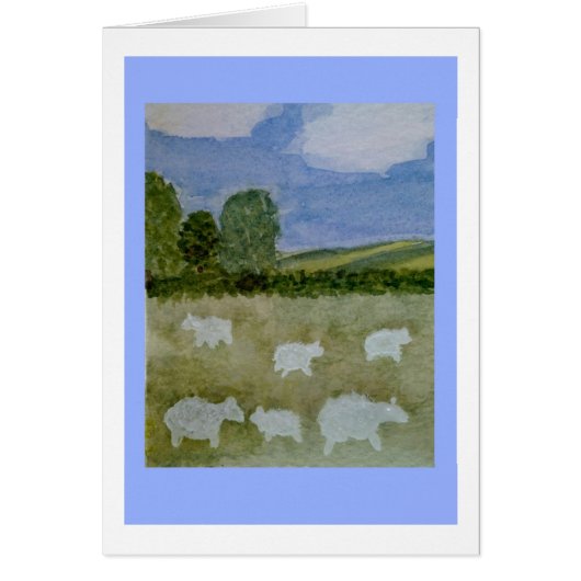 Farmschaf (Vorne)