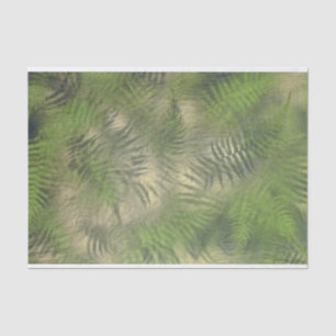 Farn-Blatt-Natur-Muster-cooles Seidenpapier