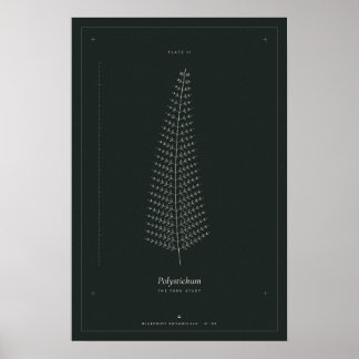 Farn Botanische Linienzeichnung Poster, Dark Acade Poster