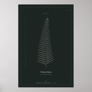 Farn Botanische Linienzeichnung Poster, Dunkle Aka Poster