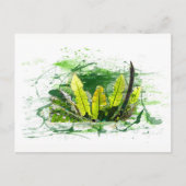 Farn,, Dschungel, Landschaft Postkarte (Vorderseite)