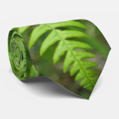 Farn fern krawatte (Gerollt)