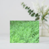 Farn Foto Postkarte (Stehend Vorderseite)