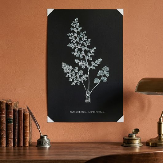 Farn - Gymnogramma Leptophylla - Röntgen-Effekt – Poster