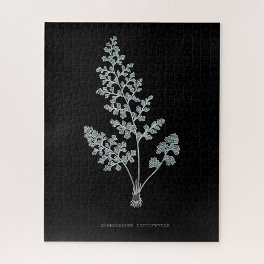 Farn - Gymnogramma Leptophylla - Röntgen-Effekt – Puzzle (Vertikal)