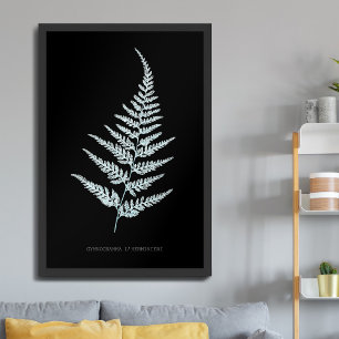 Farn - Gymnogramma L'herminieri. Röntgen-Effekt –  Poster