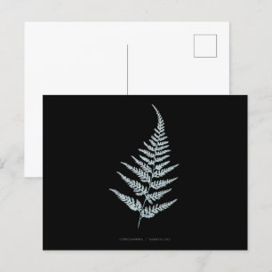 Farn - Gymnogramma L'herminieri. Röntgen-Effekt –  Postkarte