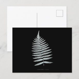 Farn - Gymnogramma Villosa - Röntgen-Effekt - 06 Postkarte