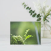 Farn in Regenwaldnähe Postkarte (Stehend Vorderseite)