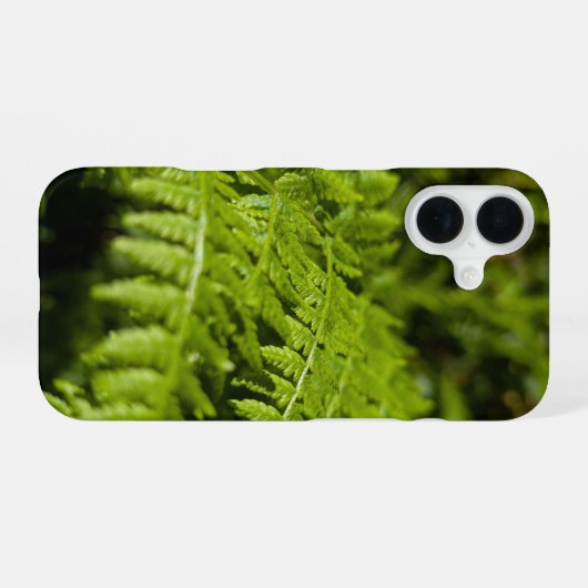 Farn iPhone 16 Hülle (Rückseite (Horizontal))