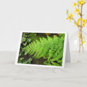 Farn-Karte Karte (Gelbe Blume)