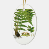 Farn Keramik Ornament (Links)