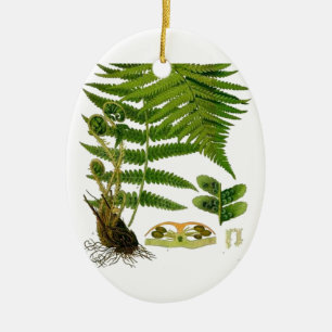 Farn Keramik Ornament