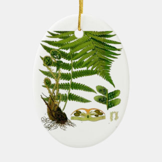 Farn Keramik Ornament