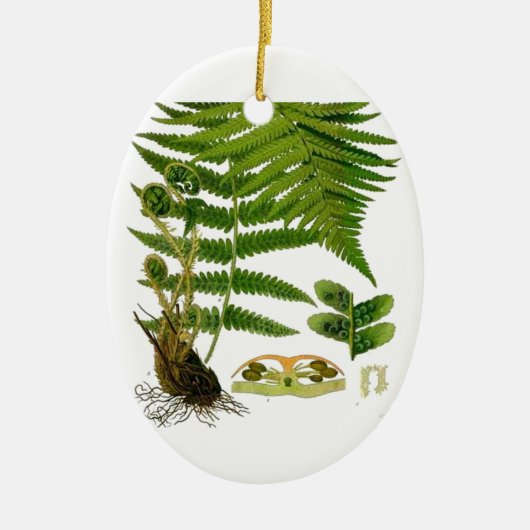 Farn Keramik Ornament (Vorne)