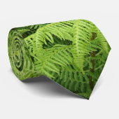 Farn Krawatte (Gerollt)
