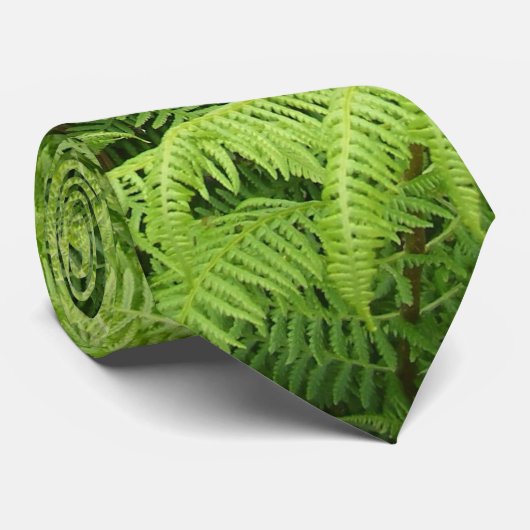 Farn Krawatte (Gerollt)