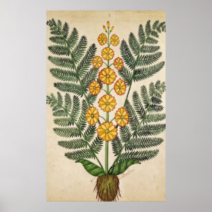 Farn mit gelben Blumen Poster