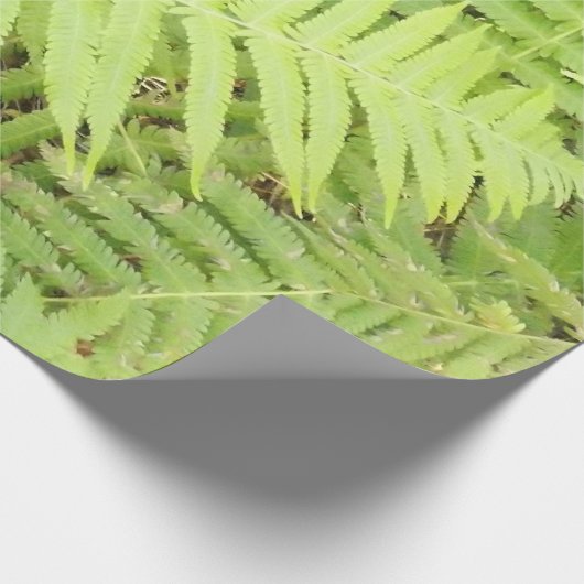 Farn-Packpapier Matt Geschenkpapier (Ecke)