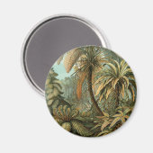 Farn Palmenbaum Antik Botanisch Farn Kunst Magnet (Vorderseite/Rückseite)