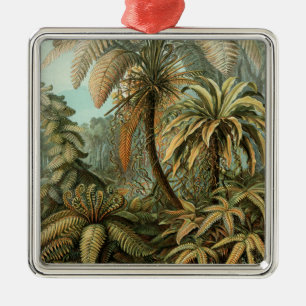 Farn Palmenbaum Antik Botanisch Farn Kunst Silbernes Ornament