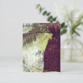 Farn-Regenwald Postkarte (Stehend Vorderseite)