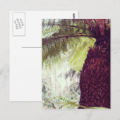 Farn-Regenwald Postkarte (Vorne/Hinten)