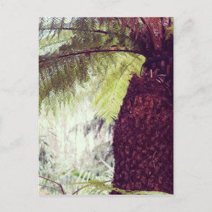 Farn-Regenwald Postkarte