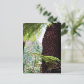 Farn Tropen Postkarte (Stehend Vorderseite)