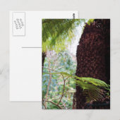 Farn Tropen Postkarte (Vorne/Hinten)