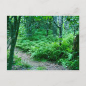 Farn-Wanderweg-Postkarte Postkarte (Vorderseite)