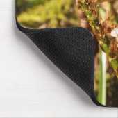 Farn-Wedel Mousepad (Ecke)