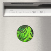 Farn-Zen-Magnet Magnet (In Situ (Geschirrspüler))